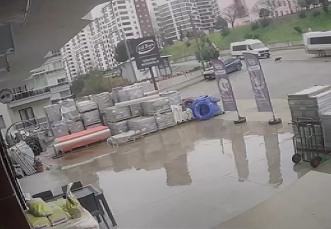 Servis Şoförü Sokak Köpeğine Çarparak Kaçtı!
