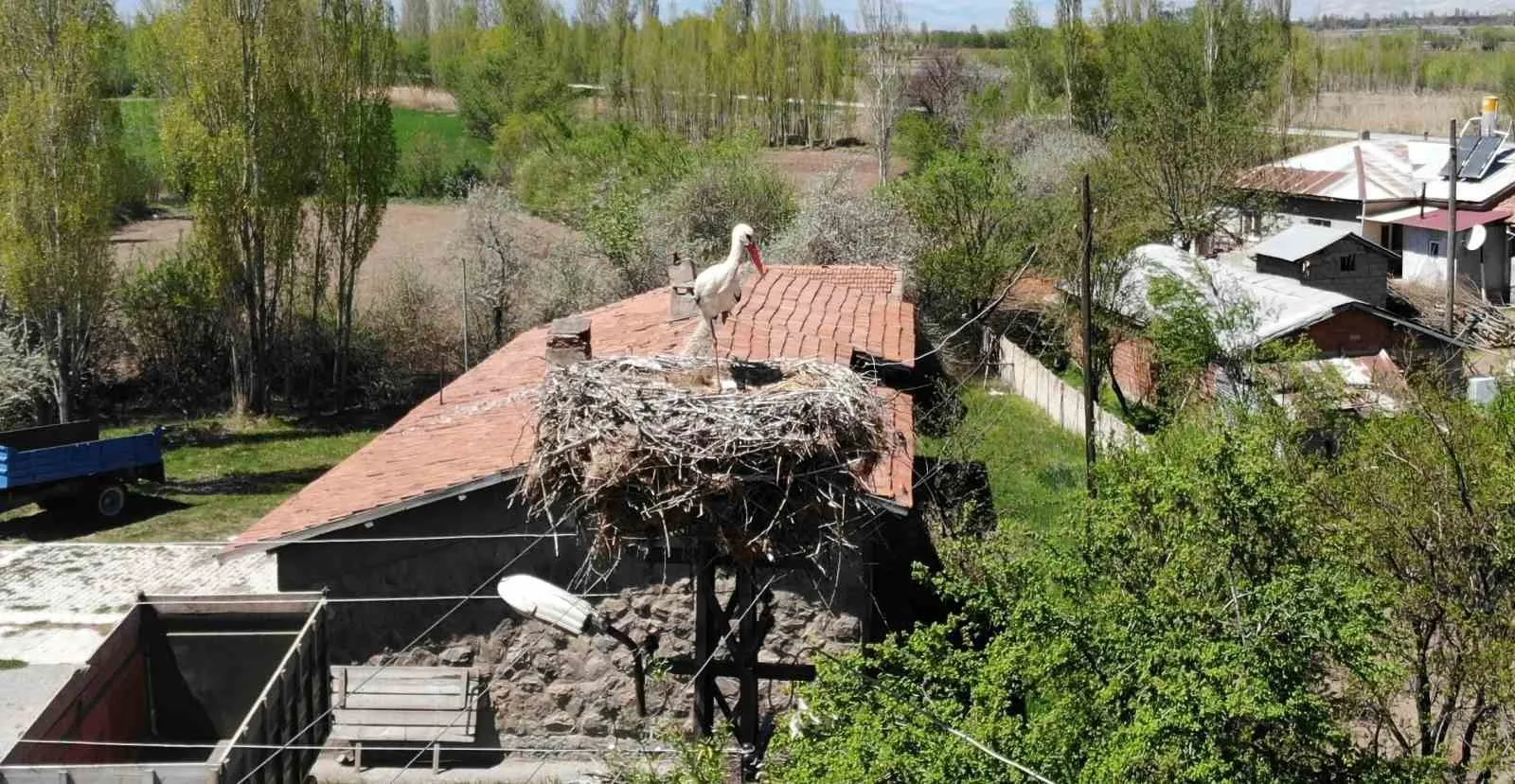 LEYLEKLER ESKİ YUVALARINA DÖNDÜ!