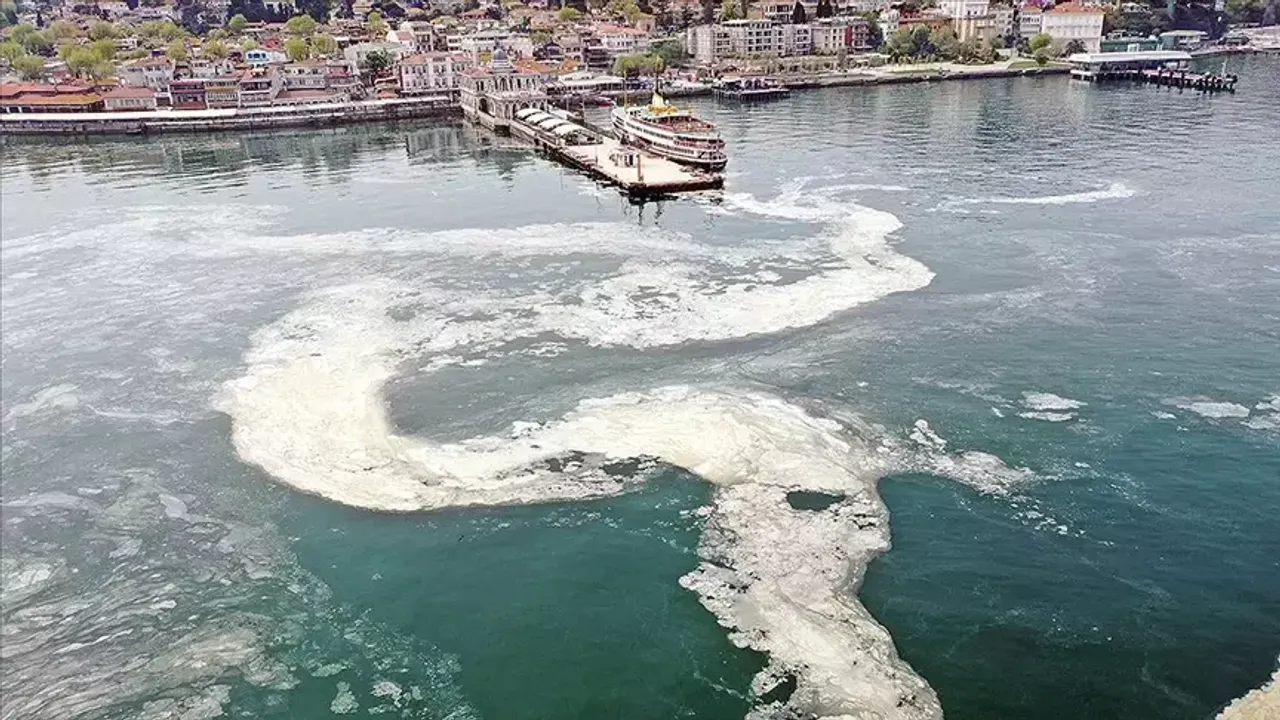 Marmara’daki müsilaj sorunu balıkçılığı etkiledi: Sezon erken kapandı