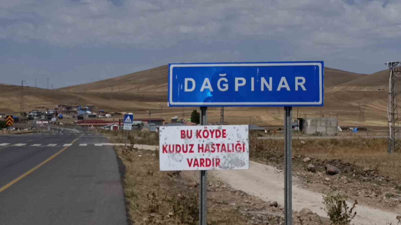 Kars’ta kuduz vakası: Bir belde karantinaya alındı
