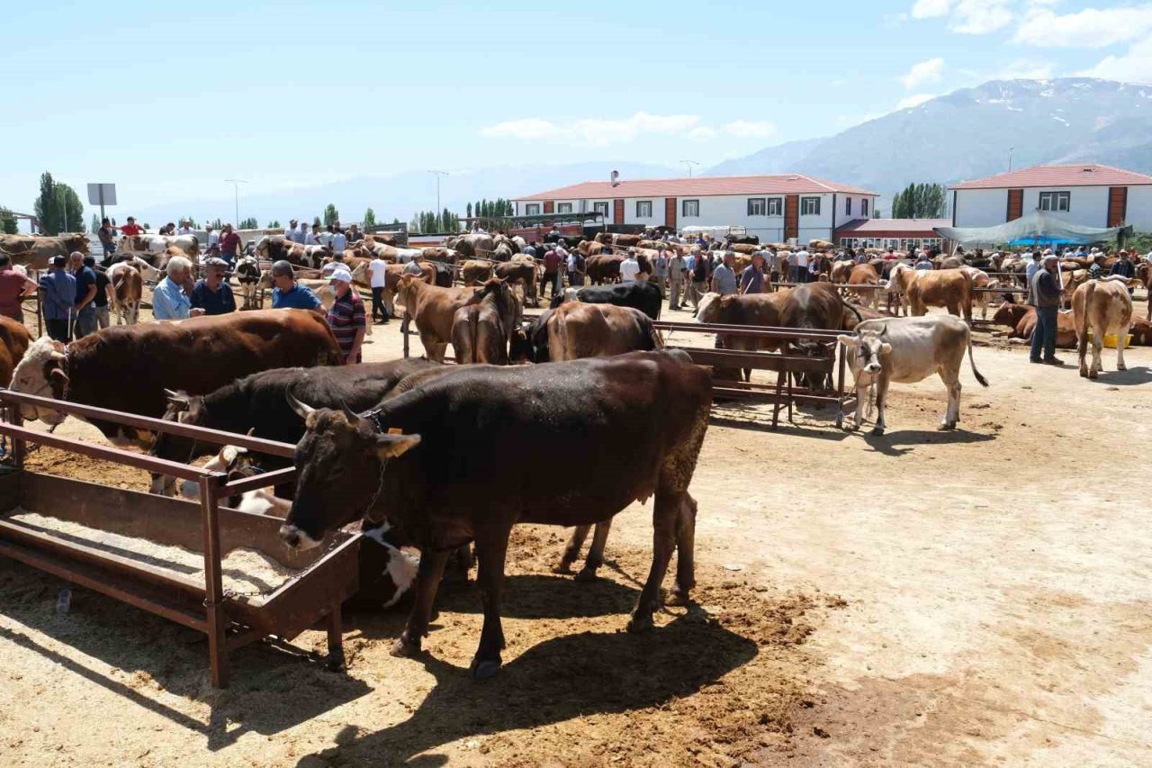 Refahiye’nin 34 köyünde şap karantinası