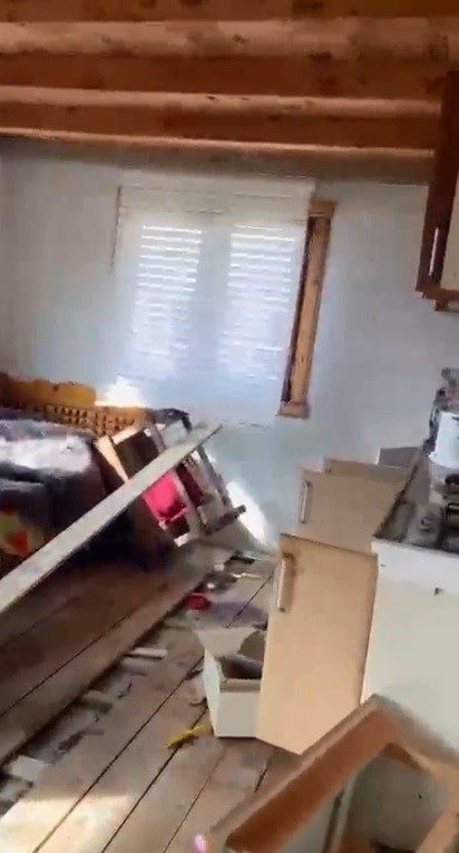 Rize yaylalarında ayı paniği: 20 ev talan edildi