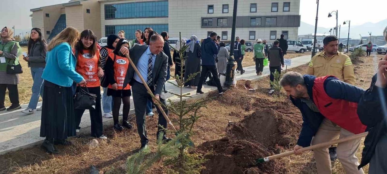 GSİM spor kampüslerine meyve ağacı dikti