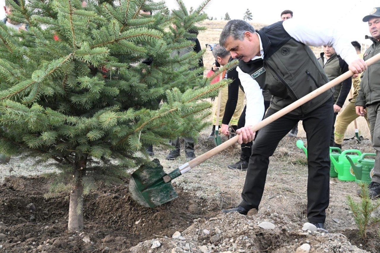 “Hastaya kan, ormana can”