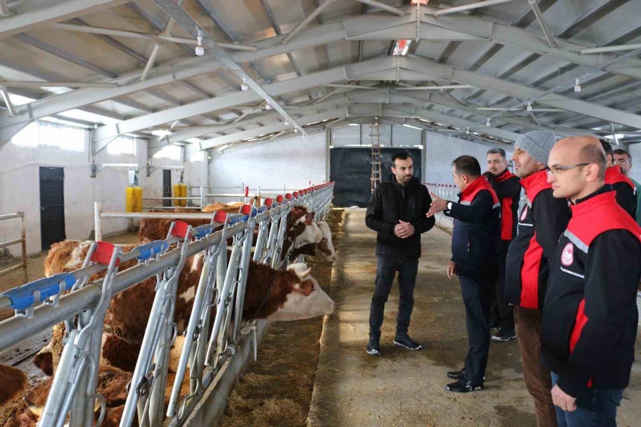 Erzincan’da hibe desteğiyle kurulan tesis üretime başladı