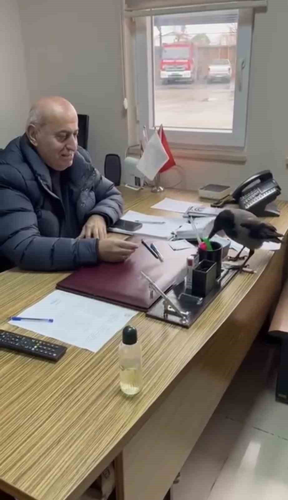 Trabzon’da belediye başkanının gülümseten karga diyaloğu